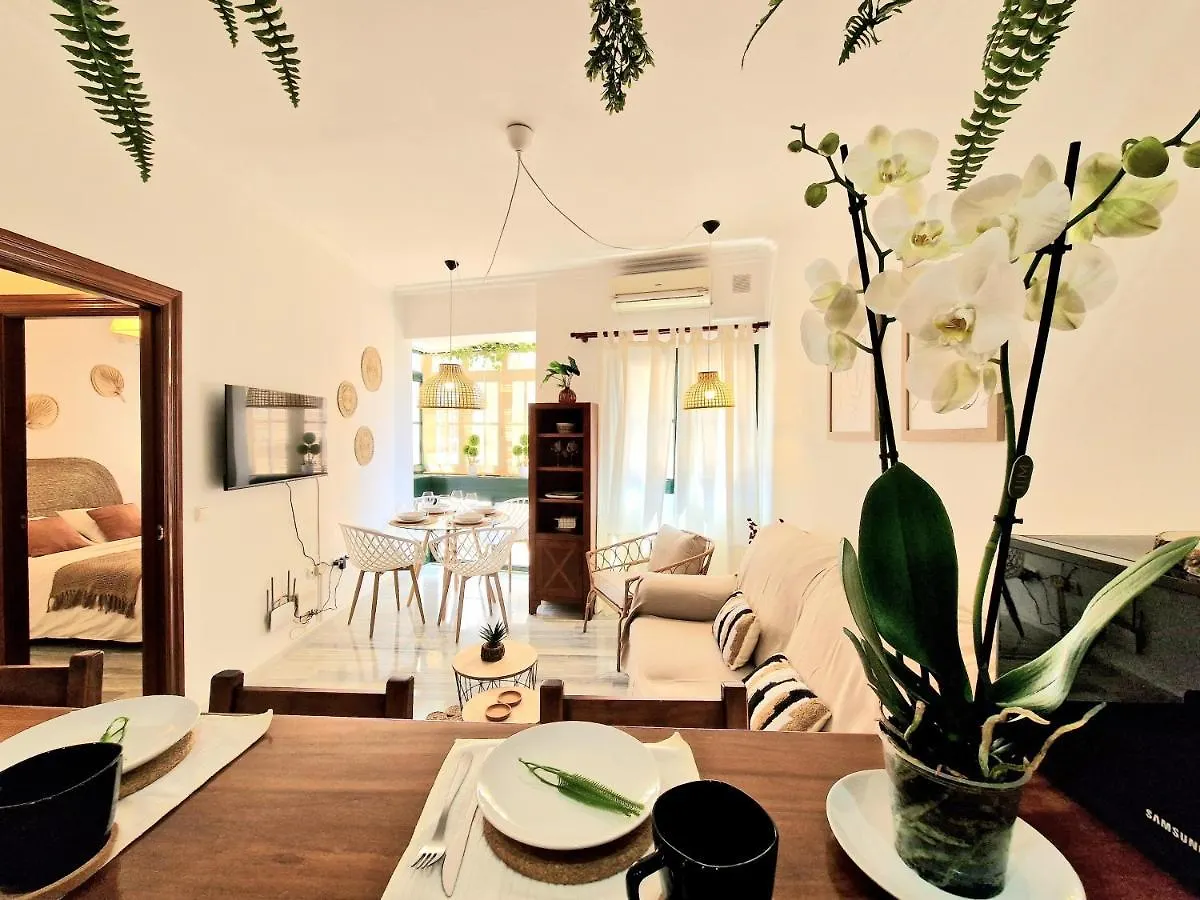 Aa Guest - Victoria Center Eco Apartment Malaga 0*,
